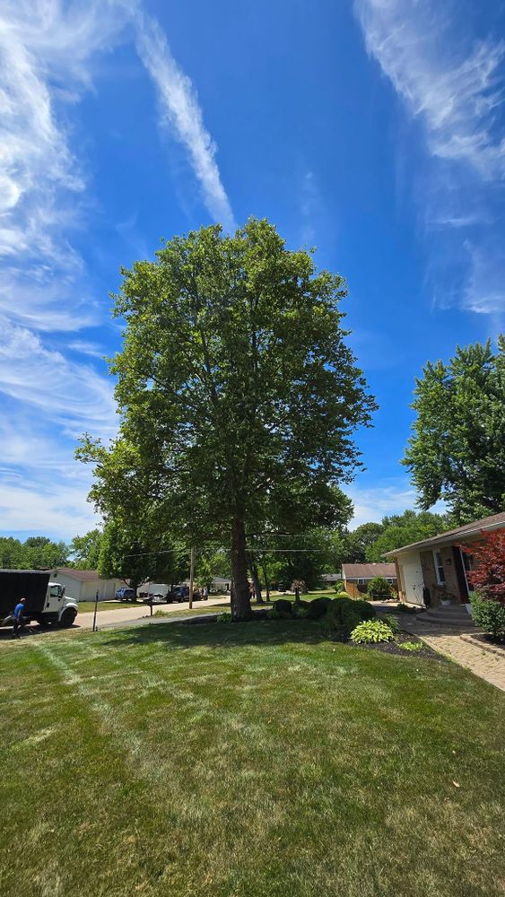 All Photos for F & F Tree Service in Beavercreek, OH