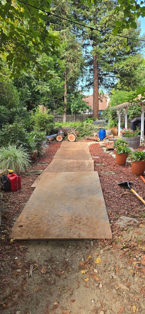 Our Tree Removal service ensures safe, efficient removal of unwanted or hazardous trees on your property, using professional techniques and equipment to protect your landscape and enhance overall safety. for George Staddan's Professional Tree Care in Placerville, CA