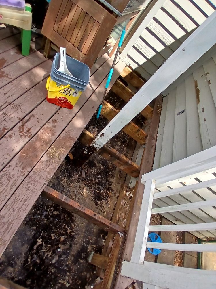 Deck Repair and Exterior Painting for Dead Tree General Contracting in Carbondale, Illinois