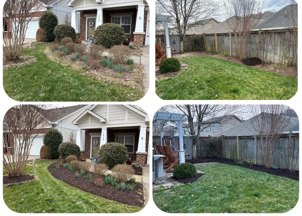 Our Light Tree Trimming service offers homeowners a professional solution to maintain the aesthetic appeal of their landscape by trimming and shaping trees with precision and care. for Bellevue Lawn and Landscaping in Bellevue,  TN