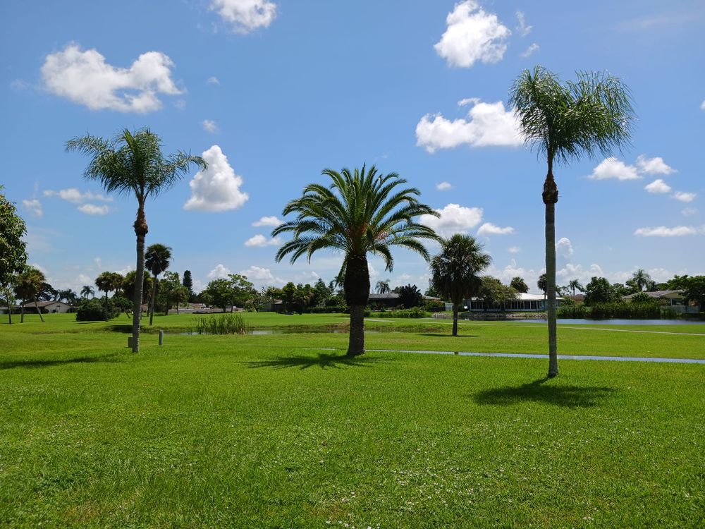 Tree Services for Unity Maintenance & More LLC in Englewood, FL