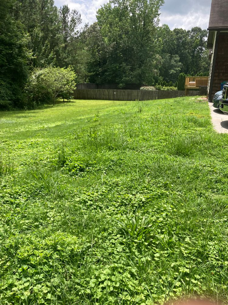 All Photos for Aries Lawnscapes in Atlanta, GA