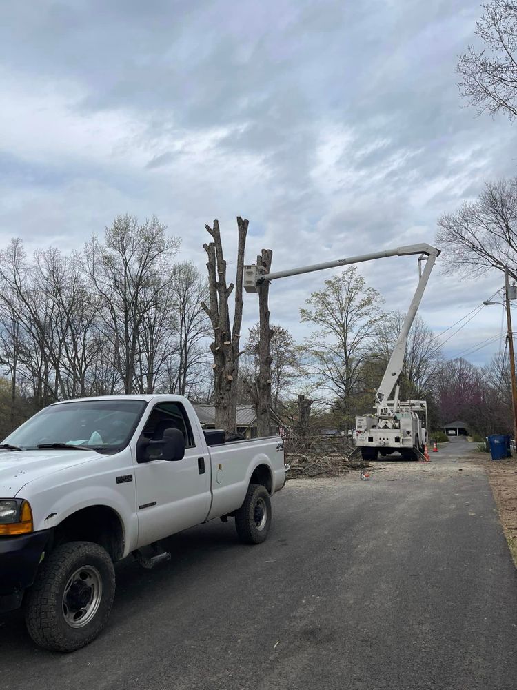 All Photos for Lucky’s Tree Removal and Landscape Services in Knoxville, TN