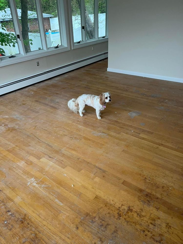 All Photos for Laura Mae Properties in Wolcott, CT