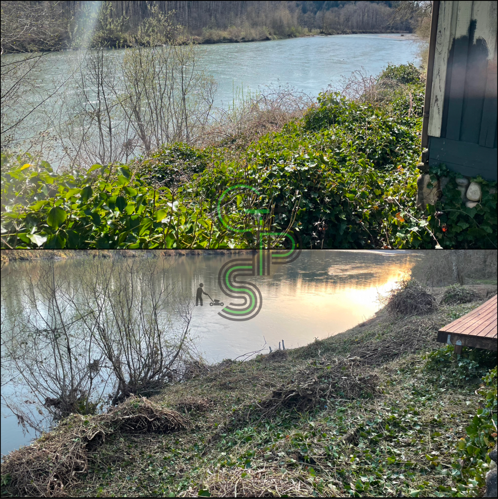 Blackberry Mulching - Brush Clearing for Golovin Property Services LLC in Marysville, WA