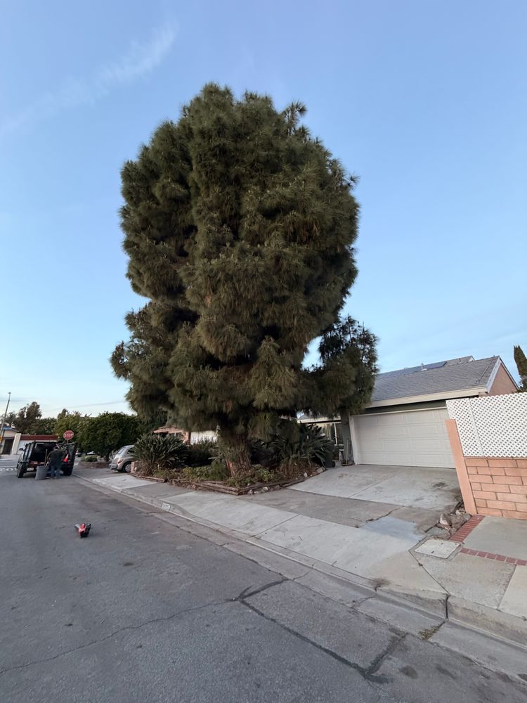 All Photos for JJs Relocation Services in Orange County, CA