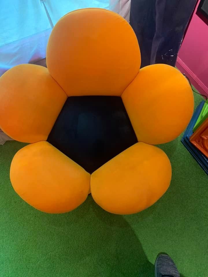 All Photos for Pro-Care Carpet & Upholstery Cleaning in Saint James, NY