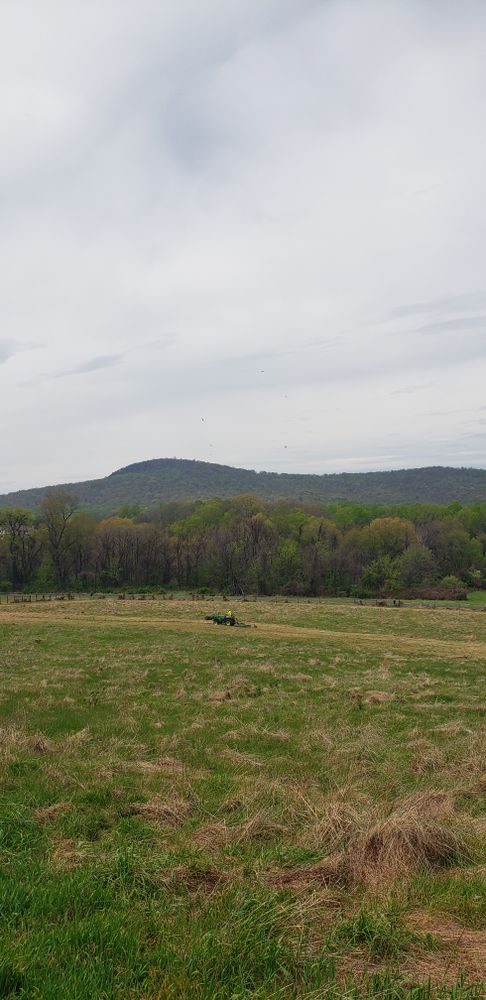All Photos for Clean Cut Lawns & Landscaping in Dickerson, MD