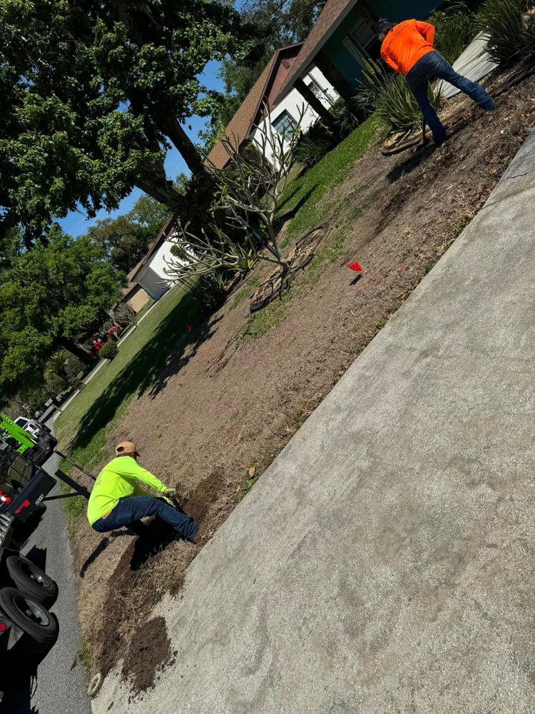 Lawn Maintenance for Duck's Lawn & Tree Service, LLC. in Lakeland, FL