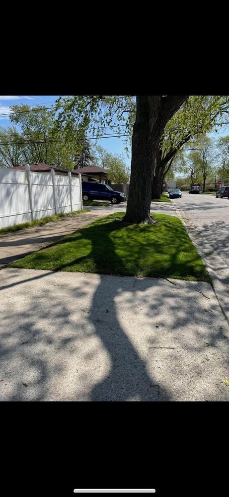 All Photos for H&G Landscapes LLC in Elmhurst, IL