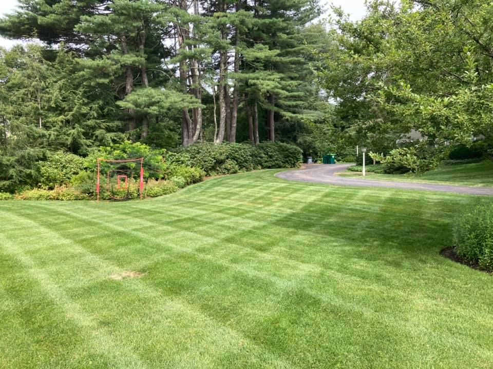 All Photos for LD Professional Lawn Care in Lancaster, MA