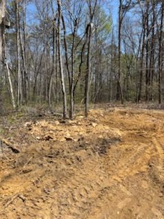 All Photos for TD Dirtworks in Tracy City, TN