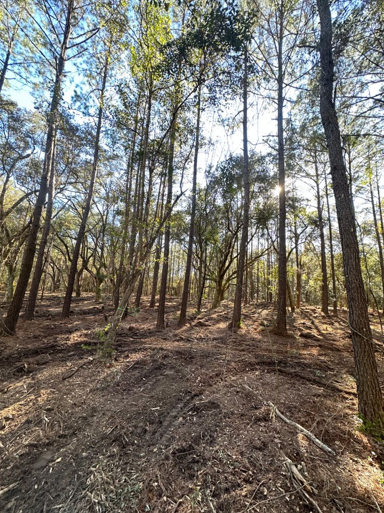 All Photos for Platinum Construction llc in Pearl River, MS
