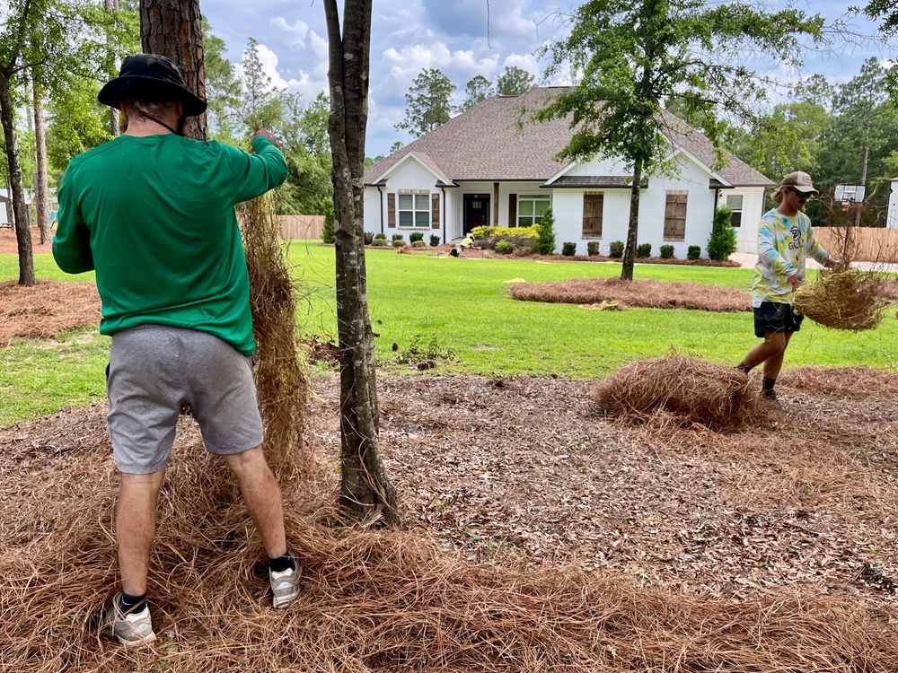 Lawn Care for All-Star Lawn Care & Soft Washing in Mobile, AL