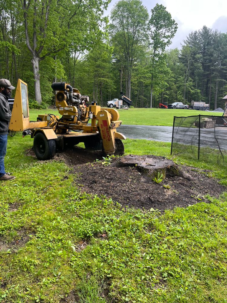 All Photos for J&E Tree & Excavation Services in Sandy, PA