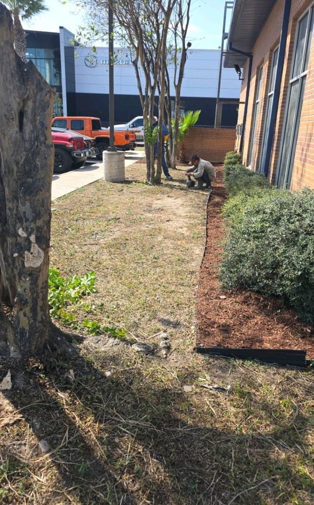 All Photos for Pro Lawn Care RGV in McAllen, TX