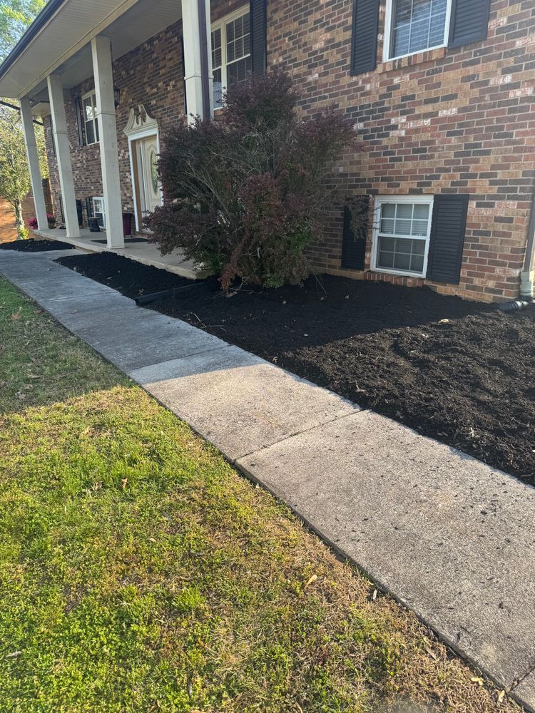 Lawn care and Landscaping for R&M Property Maintenance in White Pine, TN