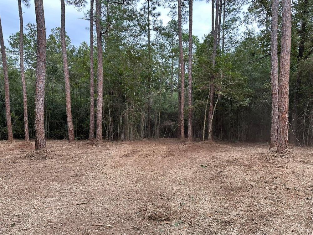 All Photos for White’s Land Maintenance in Milton,, FL