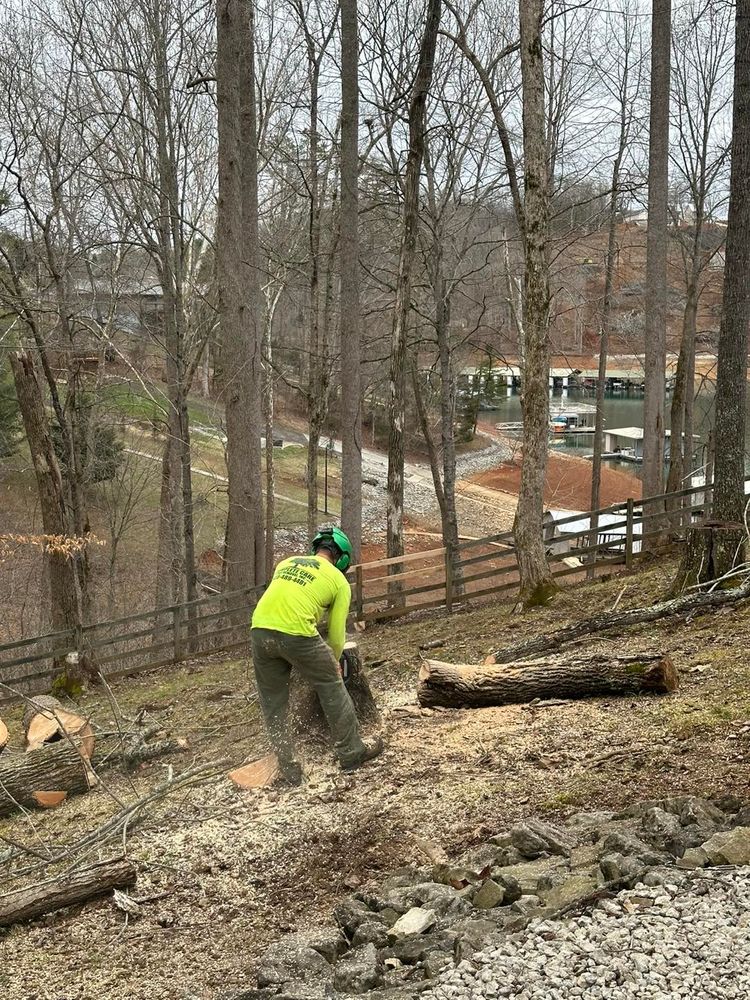 Tree Removal for Complete Care in Cumberland Gap, TN