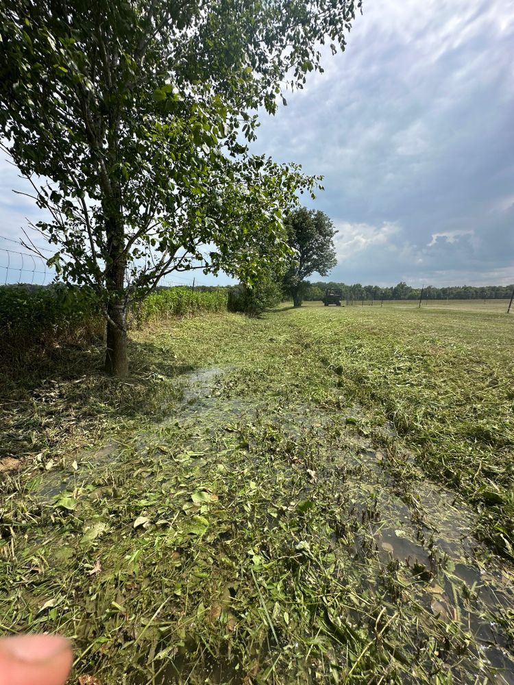 Our Tree Trimming service improves safety, appearance, and tree health by removing overgrowth, shaping branches, and preventing hazards—helping your landscape stay beautiful, balanced, and well-maintained year-round. for Spears Brothers Yard Care in West Monroe, LA