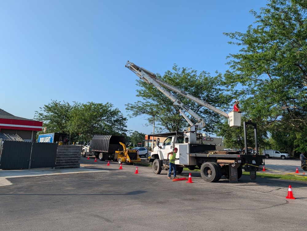 All Photos for Lightning Tree Service in Corydon, IN