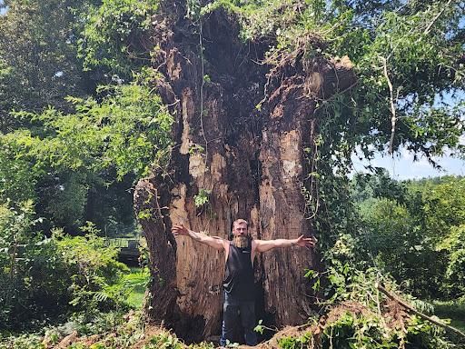 All Photos for Owens Tree Services in Inman, SC