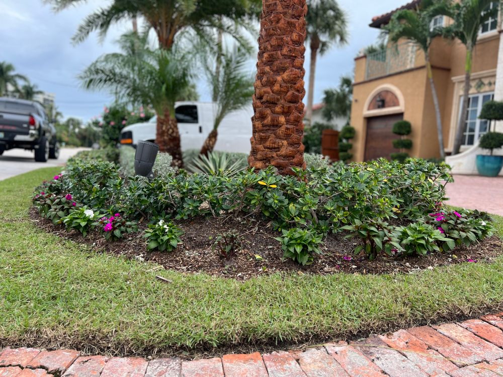 All Photos for An Extravagant Landscape & Lawn Service in Delray, FL