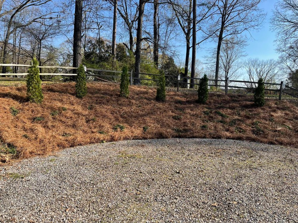 All Photos for Greenwood Lawn & Landscaping LLC in Talladega, Alabama