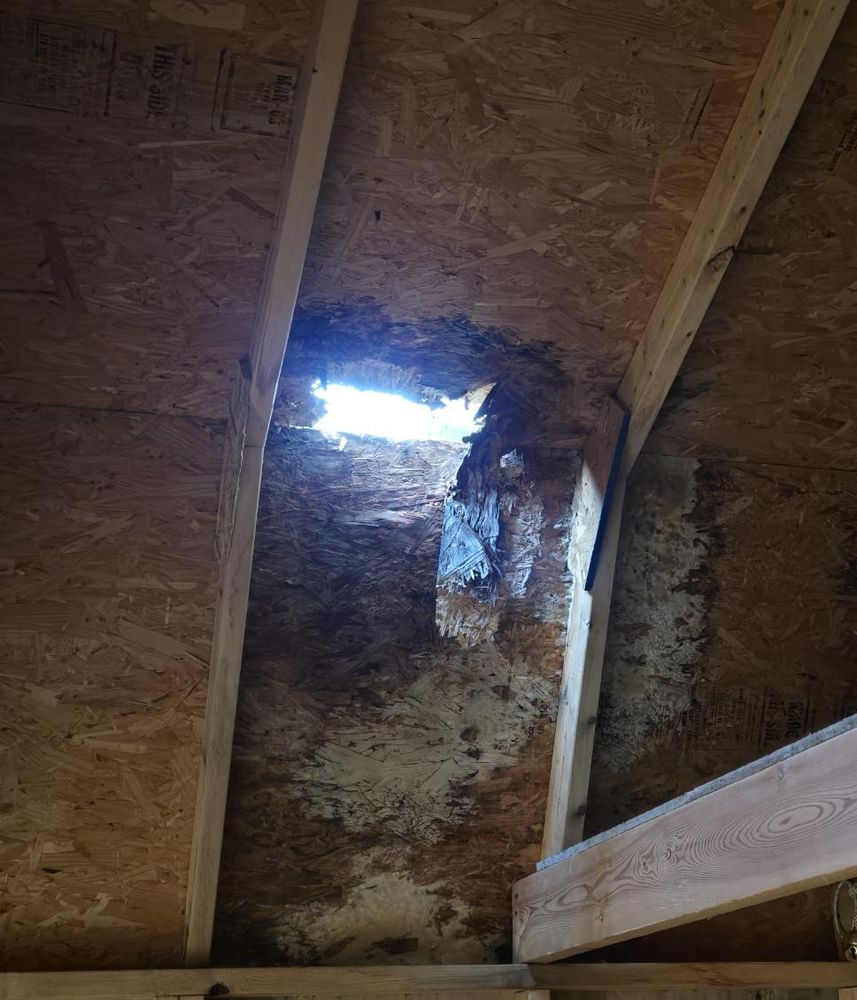 All Photos for Dead Tree General Contracting in Carbondale, Illinois