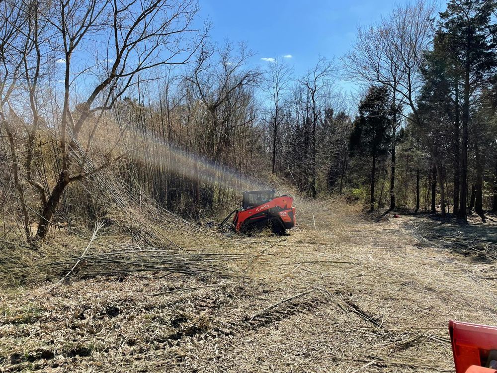 Land Clearing for Taylormade Land Service LLC in Hopkins County, KY