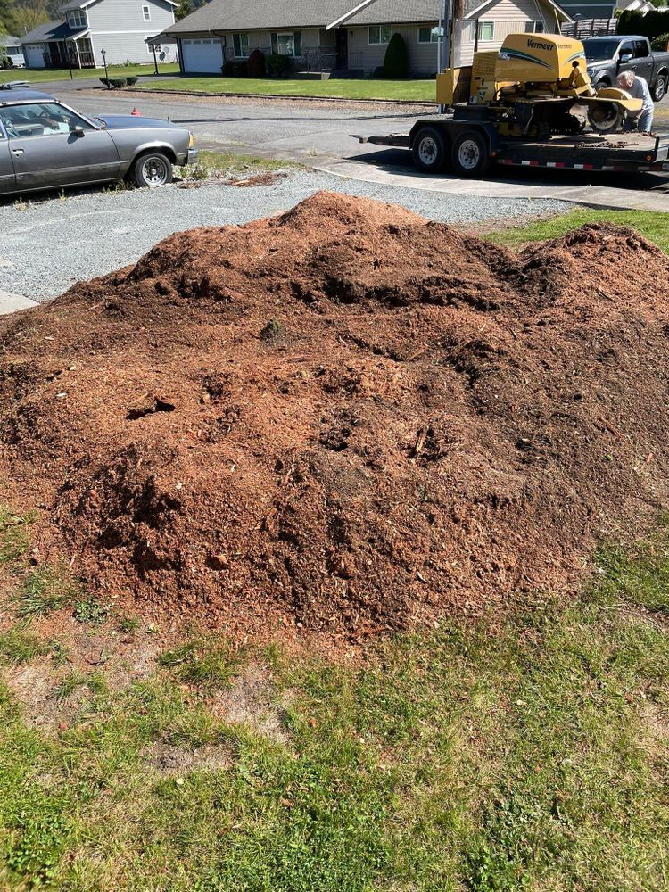 All Photos for Wilderness Stump Grinding in Orting, WA