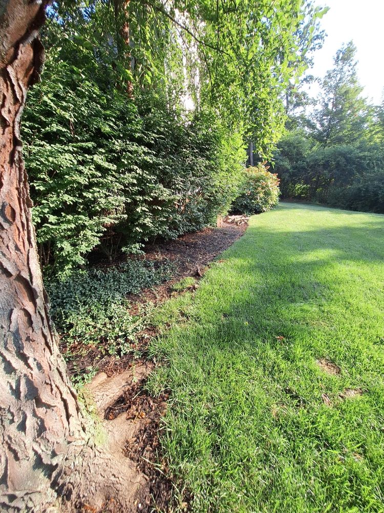 All Photos for Cincinnati’s Finest Landscape Services LLC in Cincinnati, OH