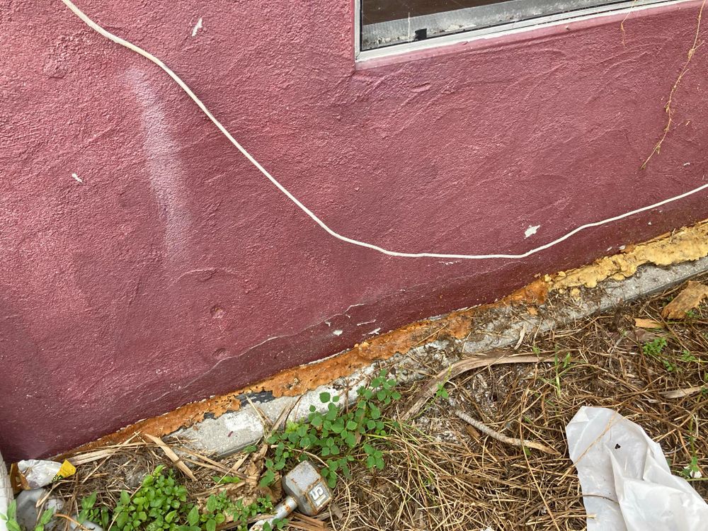 All Photos for Escorpio Painting in Tampa, FL