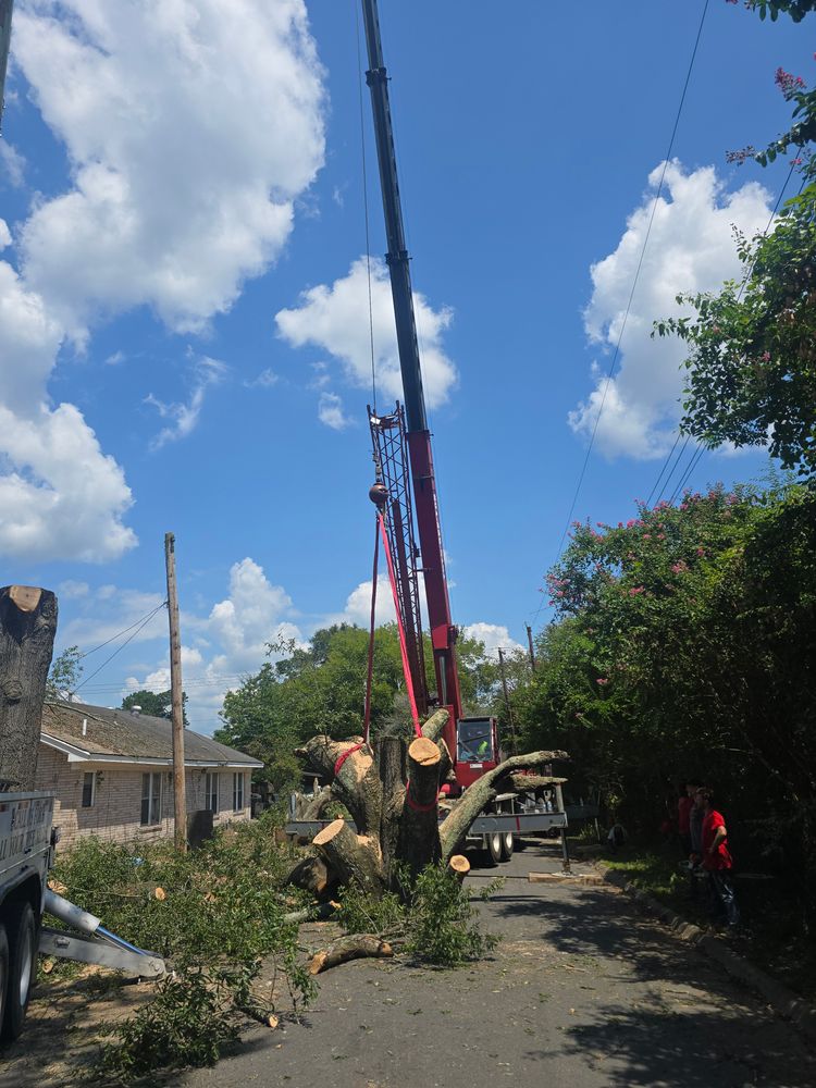 All Photos for Paquette's Tree Service in Malvern, AR