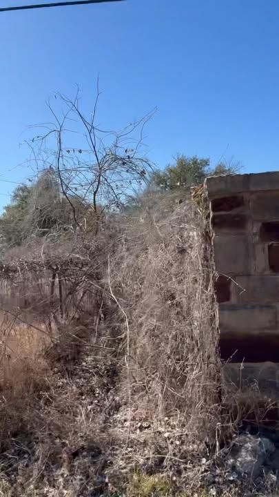 All Photos for Oakley’s Stump ‘N Grind in Leander, TX