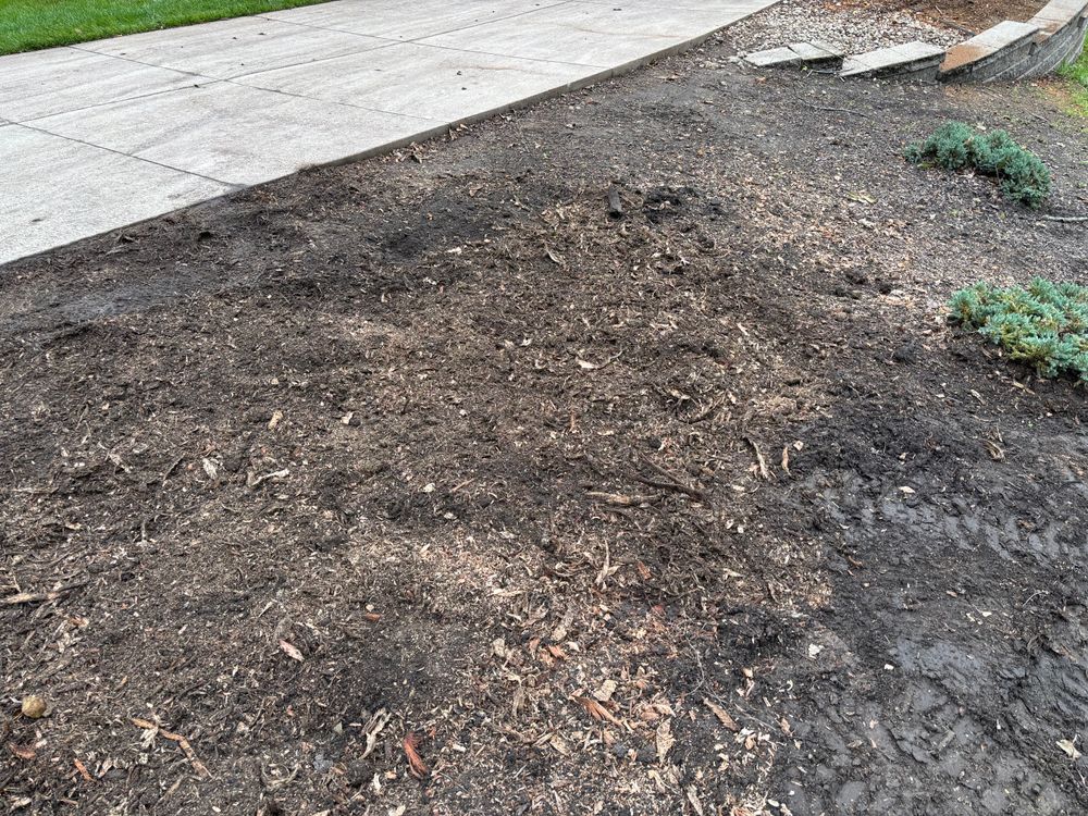 All Photos for Conrad's Stump Removal in Columbus, IN