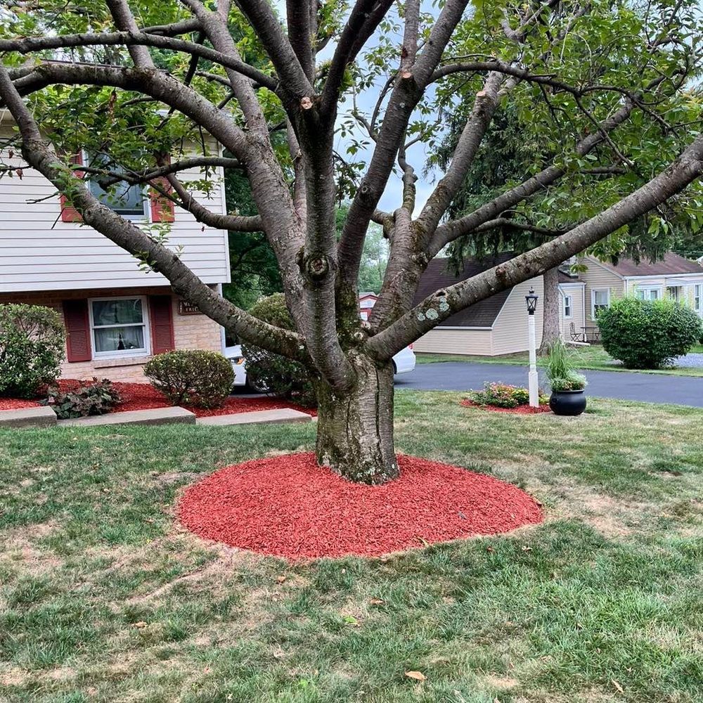 All Photos for Conoy Acres Lawn Service in Elizabethtown, PA