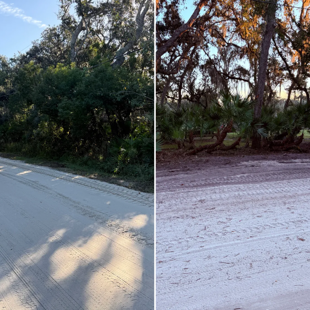 All Photos for Amerigrown Tree And Lawn in Apopka, FL