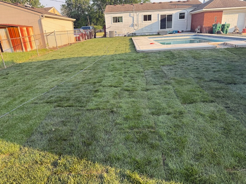All Photos for Mow Pros in Westland, MI