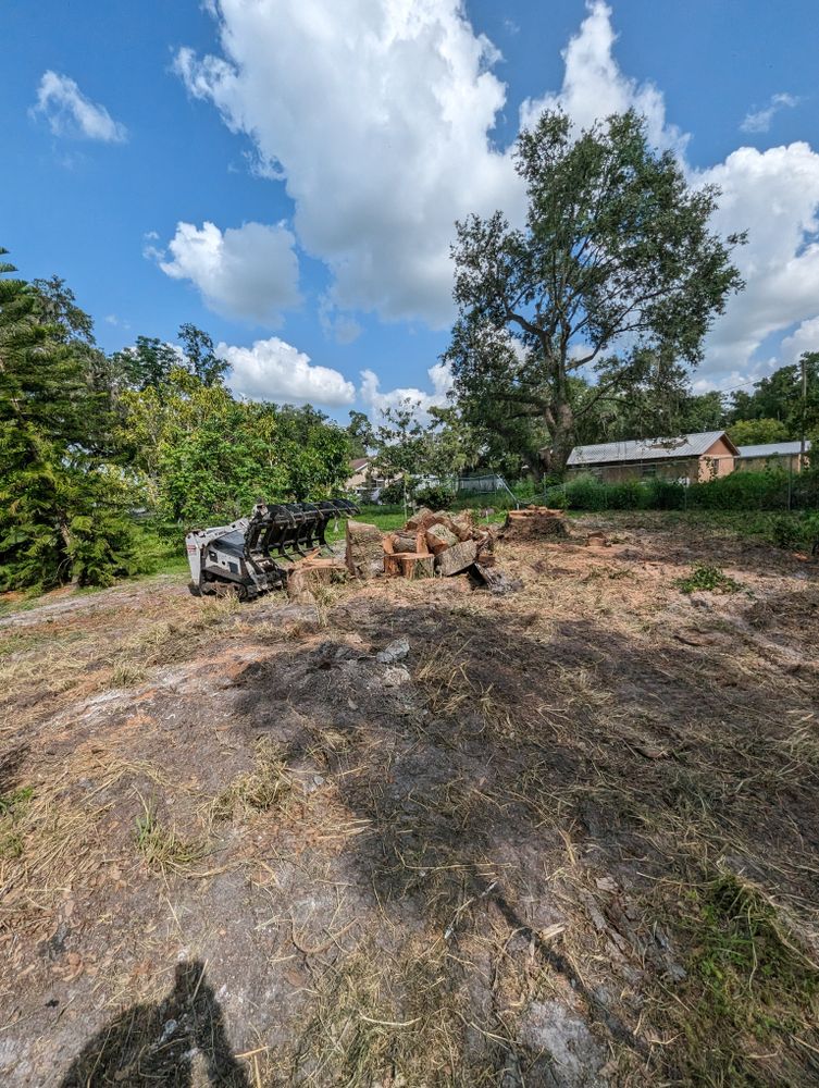 All Photos for Regal Tree Service and Stump Grinding in Wauchula, FL