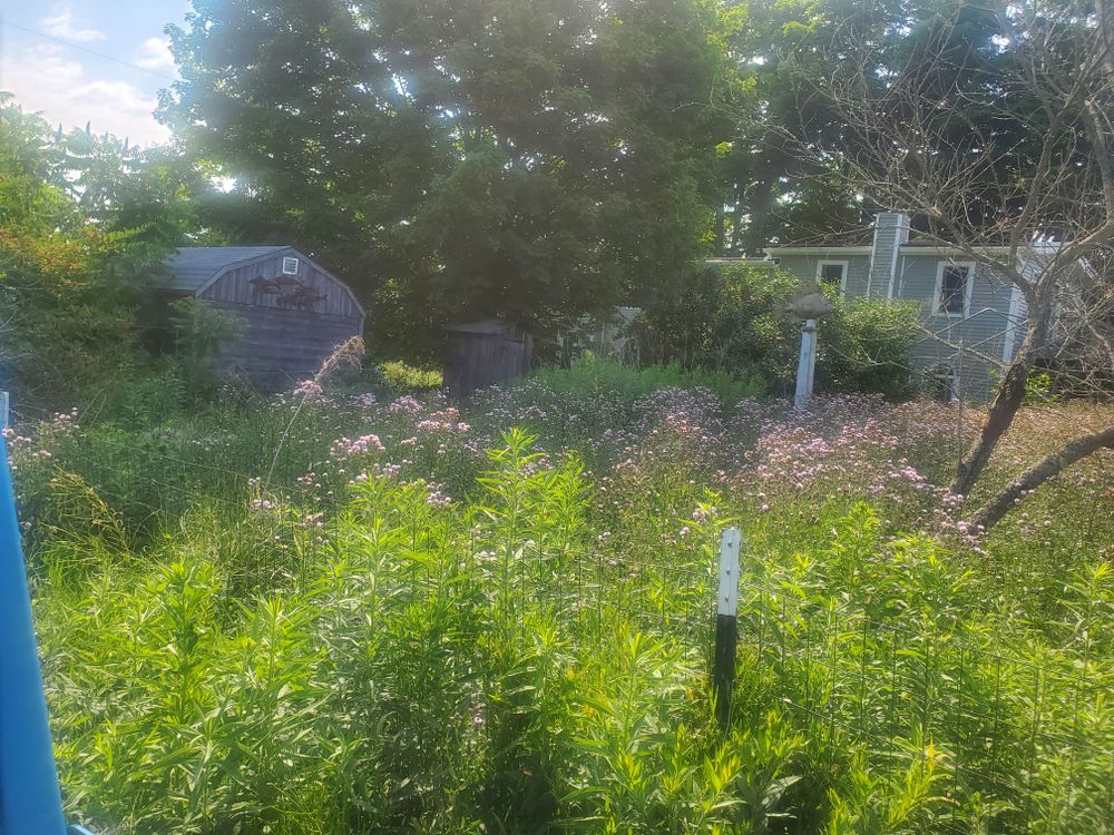 All Photos for Down Home Landscaping in Stillwater, PA