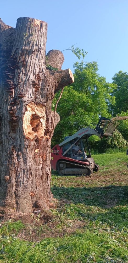 All Photos for Lawn Ranger Yard And Tree Service LLC in Ottumwa, IA
