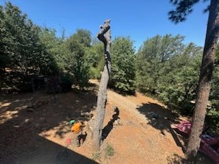 Property Clean Up for The Tree Fairy in Temecula, CA