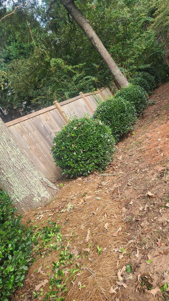 All Photos for A&A MultiScapes and Tree Service in Dallas,  GA