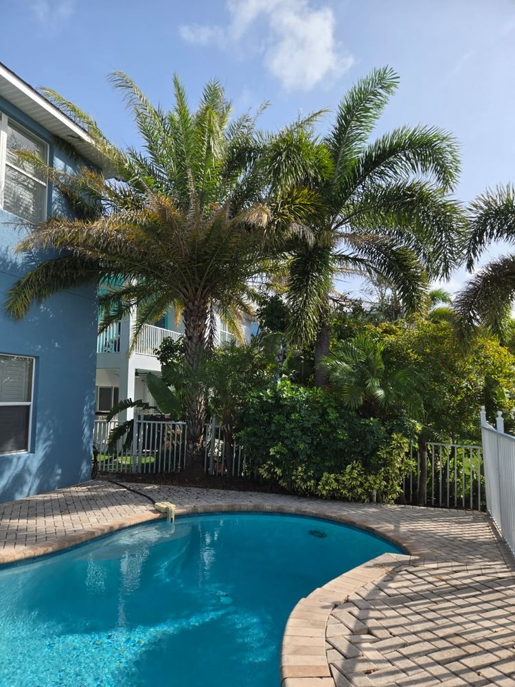 All Photos for TREE BOYS in Ruskin, FL