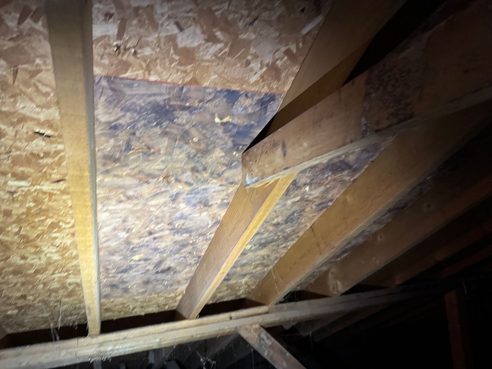 All Photos for FNS Exterior Consulting LLC, Powered By Live OAK in Cumming, GA