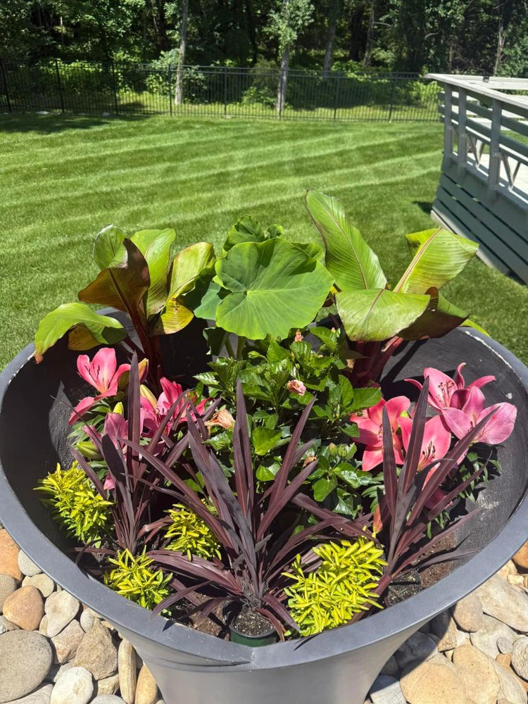 All Photos for The Right Price Right Choice Lawn Care Services in Murfreesboro, TN