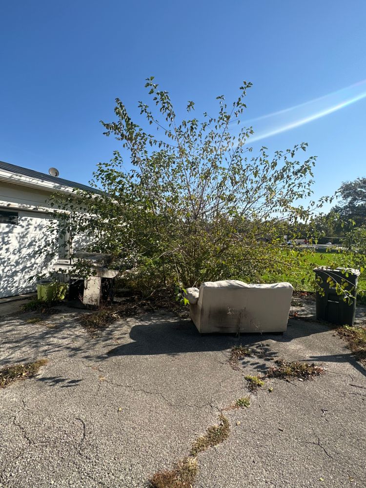 All Photos for FIRST CLASS GRASS LLC in Syracuse, IN