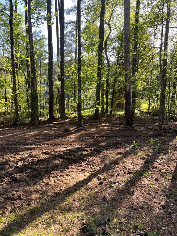 Forestry Mulching for G&H Forestry Mulching and Land Services in Fayetteville, GA