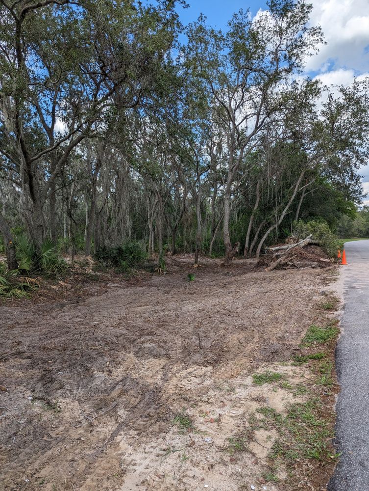 All Photos for Regal Tree Service and Stump Grinding in Wauchula, FL